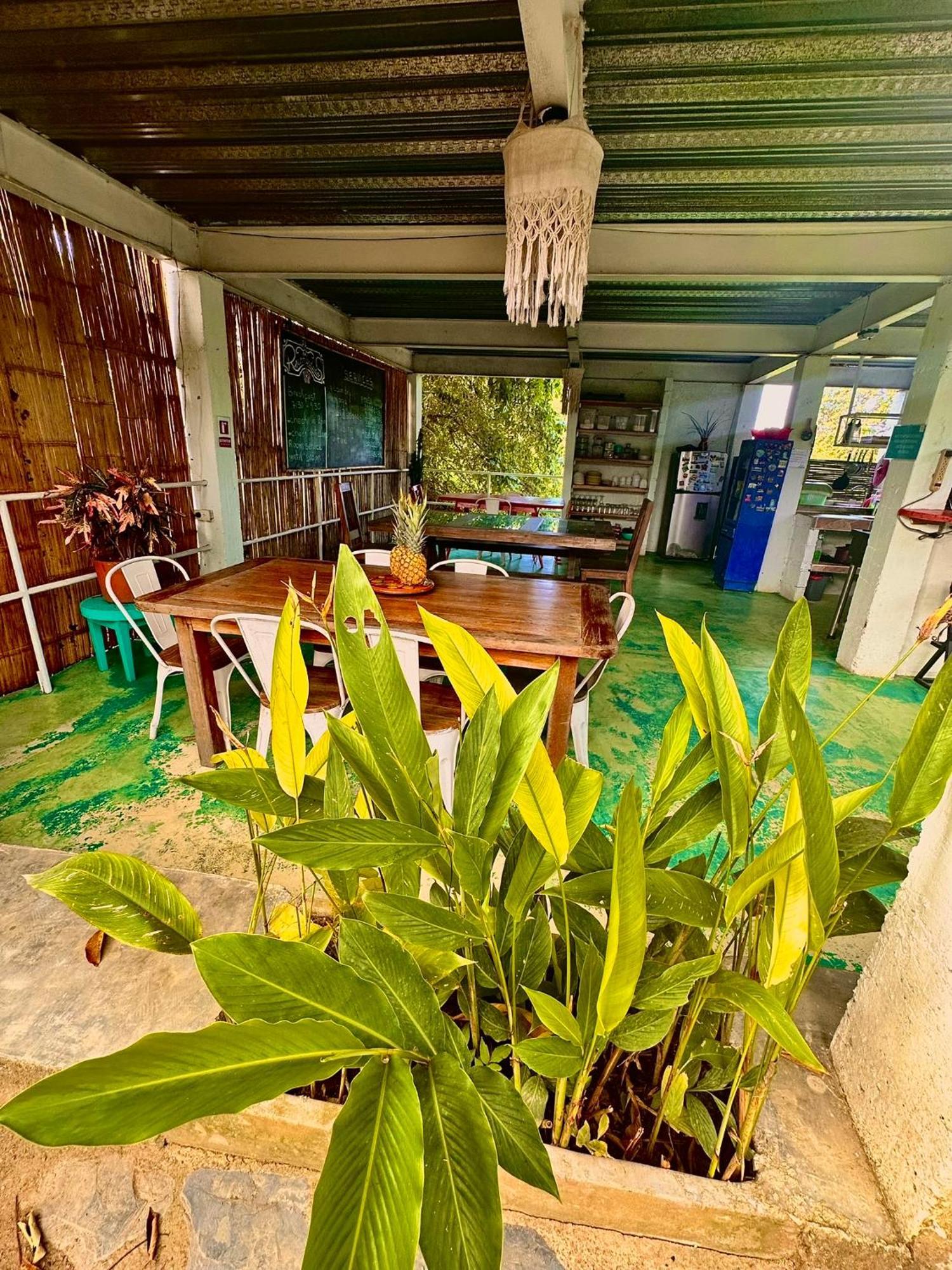 Hotel Renasci Palomino Exterior photo